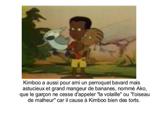 Kimboo a aussi pour ami un perroquet bavard mais astucieux et grand mangeur de bananes, nommé Ako, que le garçon ne cesse d'appeler "la volaille" ou "l'oiseau de malheur" car il cause à Kimboo bien des torts.  