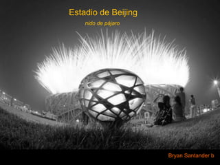 Estadio de Beijing  nido de pájaro Bryan Santander b  