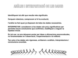 ANÀLISI I INTERPRETACIÓ DE LES DADES Identifiquem tot allò que resulta més significatiu Cerquem relacions, comprovem si hi ha evolució;  l’anàlisi es farà quan ja disposem de totes les dades necessàries. INTERPRETAR: considerem si les dades són prou significatives per permetre traure conclusions que confirmen, modifiquen o neguen la  hipòtesi inicial. En tot cas: no ens deixarem portar per idees o afirmacions preconcebudes, no fonamentades en l’observació, l’experimentació o la reflexió. Tan sols si les dades són rigoroses, arribarem a anàlisis, interpretacions i conclusions encertats. 