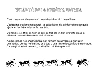 REDACCIÓ DE LA MEMÒRIA ESCRITA Ès un document d’estructura i presentació formal preestablerta. L’esquema prèviament elaborat i la classificació de la informació obtinguda ajudaran també a redactar la memòria. L’extensió, és difícil de fixar, ja que els treballs tindran diferents graus de dificultat i seran sobre temes molt diversos. Ara bé, pensa que una memòria molt extensa no sempre és igual a un  bon treball. Com ja hem dit: no es tracta d’una simple recopilació d’informació, Cal afegir el treball de camp, el d’anàlisi i el d’interpretació. 