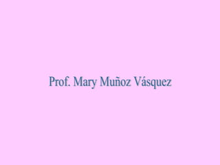 Prof. Mary Muñoz Vásquez 
