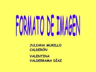 FORMATO DE IMAGEN JULIANA MURILLO CALDERÓN VALENTINA VALDERRAMA DÍAZ 