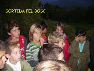 SORTIDA PEL BOSC
