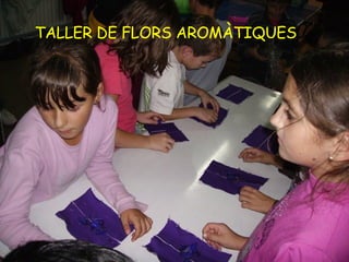 TALLER DE FLORS AROMÀTIQUES