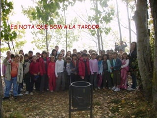 ES NOTA QUE SOM A LA TARDOR