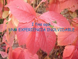 I fins aquí, UNA EXPERIÈNCIA INOLVIDABLE