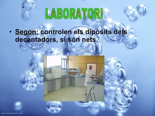 Segon:  controlen els dipòsits dels decantadors, si són nets.  LABORATORI 