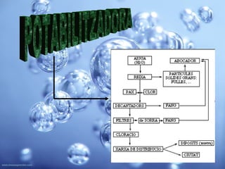 POTABILITZADORA 