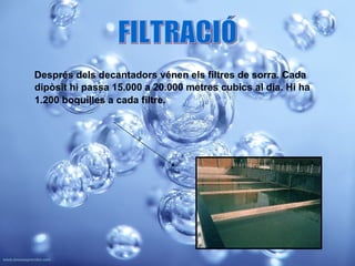 Després dels decantadors vénen els filtres de sorra. Cada dipòsit hi passa 15.000 a 20.000 metres cubics al dia. Hi ha 1.200 boquilles a cada filtre.   FILTRACIÓ 