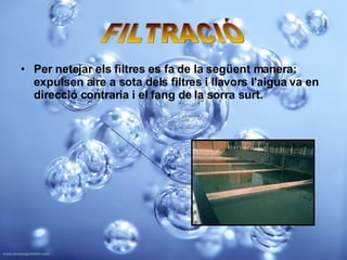 Per netejar els filtres es fa de la següent manera: expulsen aire a sota dels filtres i llavors l'aigua va en direcció contraria i el fang de la sorra surt. FILTRACIÓ 