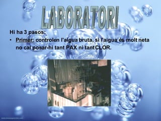 LABORATORI Hi ha 3 pasos: Primer:  controlen l'aigua bruta, si l'aigua és molt neta no cal posar-hi tant PAX ni tant CLOR.   LABORATORI 