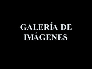 GALERÍA DE IMÁGENES 