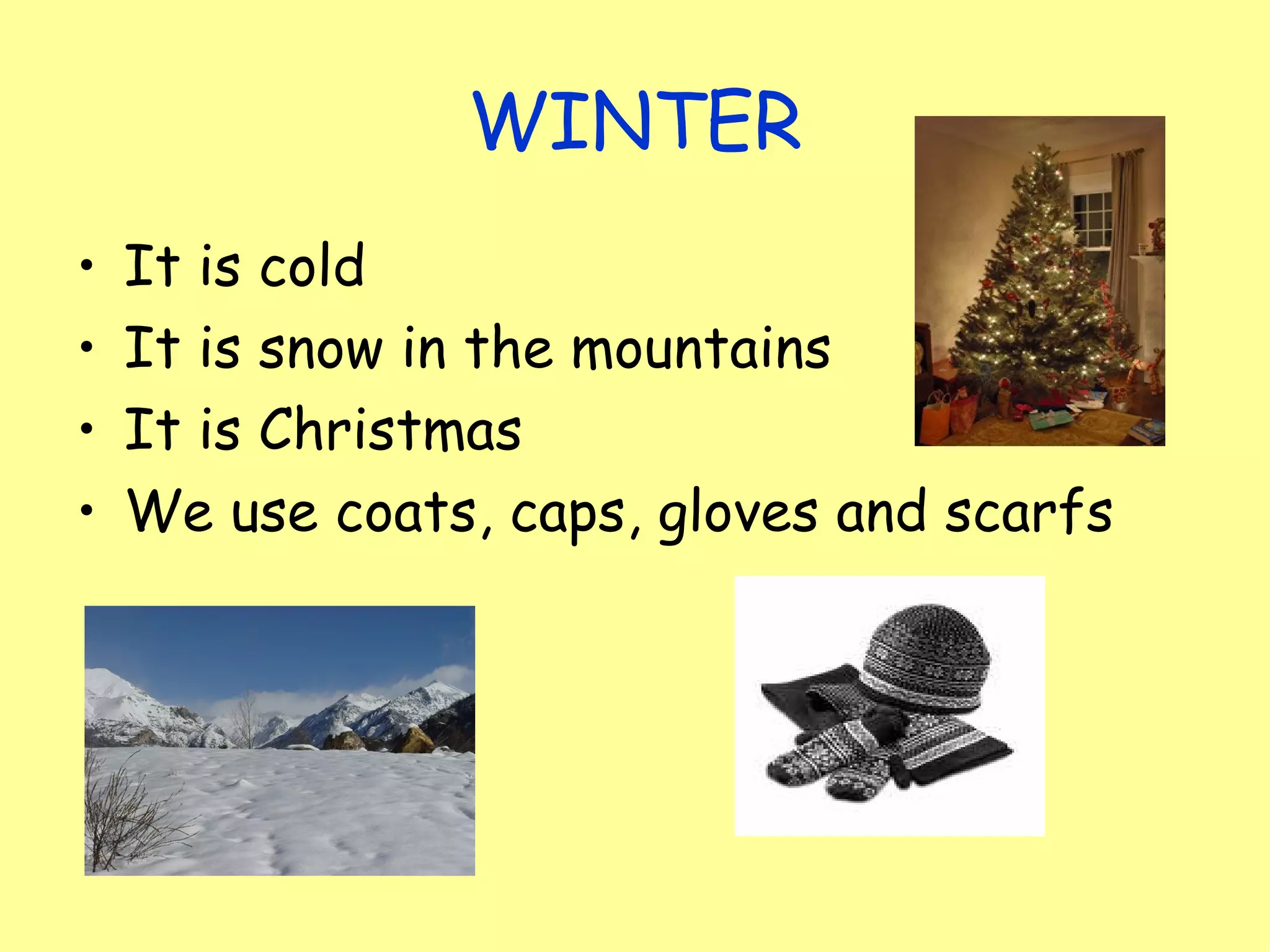 the seasons for children | PPT