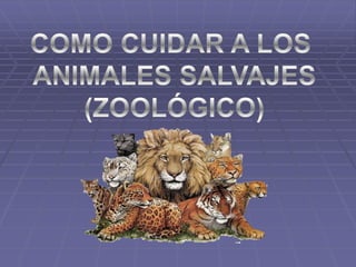 cuidado de los animales