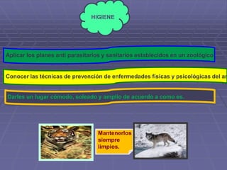 cuidado de los animales