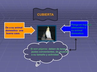 cuidado de los animales