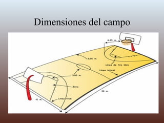 Dimensiones del campo 