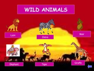 WILD ANIMALS Lyon Elephant Bear Tiger Zebra Giraffe