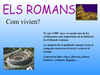 Com vivien?
              Fa uns 3.000 anys va sorgir una de les
              civilizacions més importants de la història:
              la civilizació romana.
              La majoria de la població romana vivia al
              camp,on conreaven la terra i criaven el
              bestiar.
              Conreaven blat, vinya, oliveres, arbres
              fruiters, verdures, llegums....
 