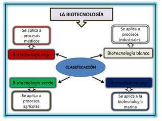 LA BIOTECNOLOGÍA

    Se aplica a                                Se aplica a
     procesos                                   procesos
     médicos                                  industriales.


Biotecnología roja                       Biotecnología blanca


                        CLASIFICACIÓN



Biotecnología verde                       Biotecnología azul

    Se aplica a                               Se aplica a la
     procesos                                 biotecnología
     agrícolas                                   marina
 
