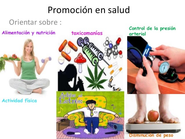 En el departamento de pecho de la vértebra está determinado