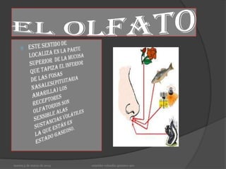 martes,5 de marzo de 2013   osneider velandia quintero 901
 