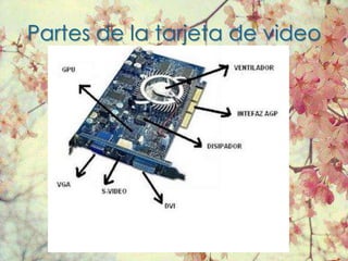 Partes de la tarjeta de video
 
