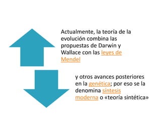 Actualmente, la teoría de la
evolución combina las
propuestas de Darwin y
Wallace con las leyes de
Mendel

     y otros avances posteriores
     en la genética; por eso se la
     denomina síntesis
     moderna o «teoría sintética»
 