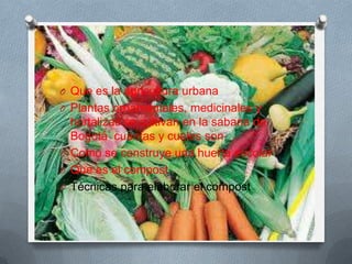 O Que es la agricultura urbana
O Plantas ornaméntales, medicinales y
  hortalizas se cultivan en la sabana de
  Bogotá cuantas y cuales son
O Como se construye una huerta escolar
O Que es el compost
O Técnicas para elaborar el compost
 