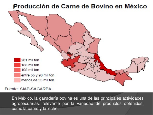 produccion de bovinos en mexico