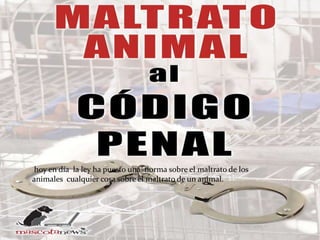 hoy en día la ley ha puesto una norma sobre el maltrato de los
animales cualquier cosa sobre el maltrato de un animal.
 