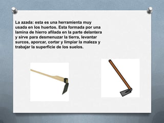 La azada: esta es una herramienta muy
usada en los huertos. Esta formada por una
lamina de hierro afilada en la parte delantera
y sirve para desmenuzar la tierra, levantar
surcos, aporcar, cortar y limpiar la maleza y
trabajar la superficie de los suelos.
 