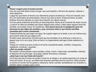 Pasos a seguir para el huerto escolar
Una vez que esté determinado el lugar, hay que limpiarlo y eliminar las piedras, malezas u
otros desechos.
Luego hay que labrar el terreno con elementos propios de labranza. Procuren hacerlo unos
20 o 25 centímetros de profundidad y triturar muy bien la tierra. Posteriormente, se debe
fertilizar el terreno labrado, lo mejor sería hacerlo con abono natural.
Con los pasos anteriores el terreno ya está preparado. Ahora es el momento de hacer surcos
y colocar en ellos las semillas que hayan elegido para cultivar. Debe haber espacio entre las
semillas, así pueden crecer sin problemas. Una buena tarea de investigación para los
alumnos es que elijan las semillas y que conozcan todo lo que dichas semillas
necesitan para crecer sanamente.
Posteriormente hay que regar con agua. Se sugiere regar por la tarde; si es a la mañana hay
que hacerlo antes de que salga el sol.
El último paso será cercar el huerto para que los animales no lo destruyan o bien por si
alguien que no lo ve lo pisa. Esto se hará o no dependiendo del lugar donde realizaron el
huerto.
Tengan en cuenta que para construir el huerto necesitarán palas, rastrillos, mangueras,
regaderas, cucharas, y guantes.
¿Qué se puede cultivar?
Se pueden cultivar plantas cuyas semillas, raíces, frutos u hojas sean comestibles. Además,
si disponen de mucho lugar, se pueden cultivar limoneros y naranjos.
¿Qué hacer con los frutos del huerto?
Los frutos que dé el huerto se pueden comer en el colegio o se puede organizar una venta de
frutos de huerto. Si es así, se añade otra atractiva actividad para los alumnos. Ellos pondrán
un precio en función de los gastos y esfuerzos, harán cuentas, sociabilizaran con el público y
también darán consejos sobre cómo
 