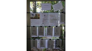 Exposição “25 de Abril | Imagem e Texto”