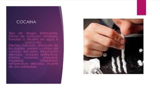 COCAINA
Tipo de droga: Estimulante.
Forma de consumo: Inhalada,
fumada o disuelta en agua e
inyectada.
Efectos: Adicción, dilatación de
las pupilas, presión y latidos del
corazón elevados. Respiración
elevada, ataques epilépticos,
infartos, insomnio, ansiedad,
inquietud, irritabilidad,
temperatura elevada, muerte
de una sobredosis.
 