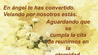 En ángel te has convertido.
Velando por nosotros estás.
Aguardando que
se
cumpla la cita
de reunirnos en
la
 