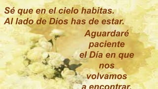 Sé que en el cielo habitas.
Al lado de Dios has de estar.
Aguardaré
paciente
el Día en que
nos
volvamos
 