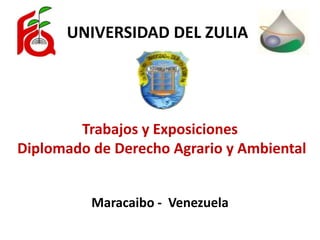 Trabajos y Exposiciones
Diplomado de Derecho Agrario y Ambiental
UNIVERSIDAD DEL ZULIA
Maracaibo - Venezuela
 