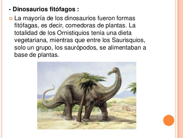 CLASIFICACION DINORAURIOS