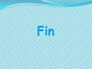 Fin
 