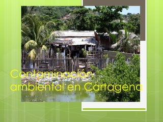 Contaminación
ambiental en Cartagena
 