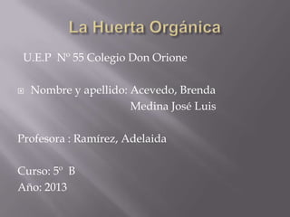 U.E.P Nº 55 Colegio Don Orione
 Nombre y apellido: Acevedo, Brenda
Medina José Luis
Profesora : Ramírez, Adelaida
Curso: 5º B
Año: 2013
 