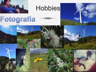 Hobbies