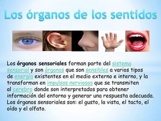 Los órganos sensoriales forman parte del sistema
sensorial y son órganos que son sensibles a varios tipos
de energía existentes en el medio externo e interno, y la
transforman en impulsos nerviosos que se transmiten
al cerebro donde son interpretados para obtener
información del entorno y generar una respuesta adecuada.
Los órganos sensoriales son: el gusto, la vista, el tacto, el
oído y el olfato.
 