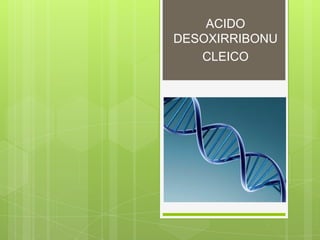 ACIDO
DESOXIRRIBONU
CLEICO
 