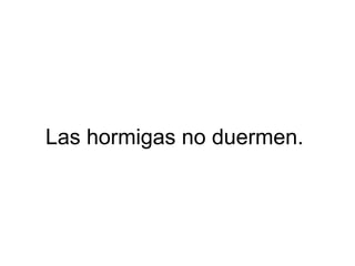 Las hormigas no duermen.
 