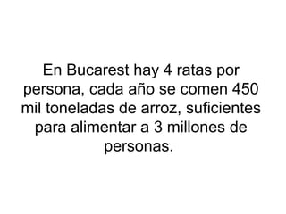 En Bucarest hay 4 ratas por
persona, cada año se comen 450
mil toneladas de arroz, suficientes
para alimentar a 3 millones de
personas.
 