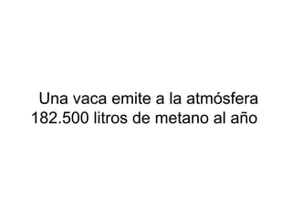 Una vaca emite a la atmósfera
182.500 litros de metano al año
 
