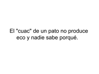 El "cuac" de un pato no produce
eco y nadie sabe porqué.
 