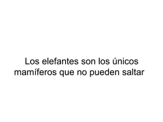 Los elefantes son los únicos
mamíferos que no pueden saltar
 